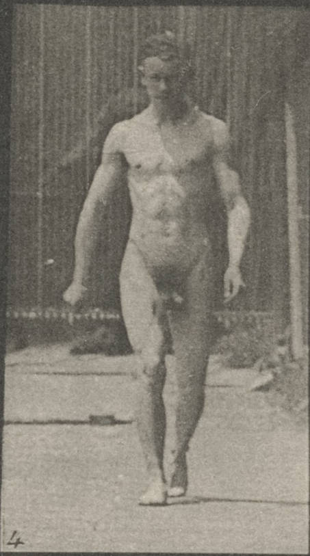 christopher failing add photo men walking nude