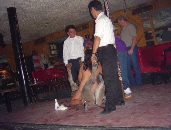 ann wendell share mexican donkey show porn photos