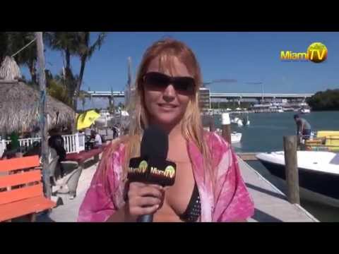 afzalahmed afzal recommends Miami Tv Jenny Scordamaglia 2014