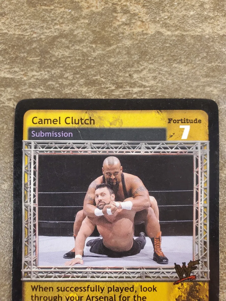 Mixed Wrestling Camel Clutch deadly rain