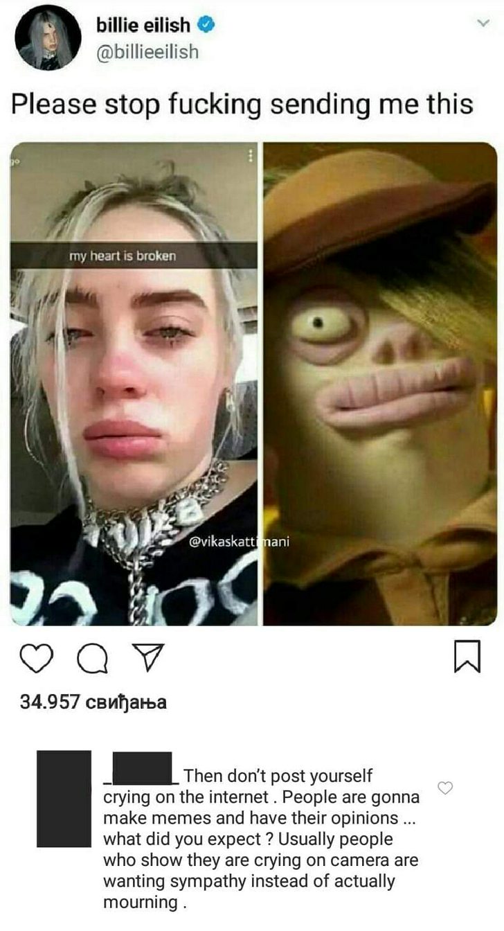 mr meaty billie eilish