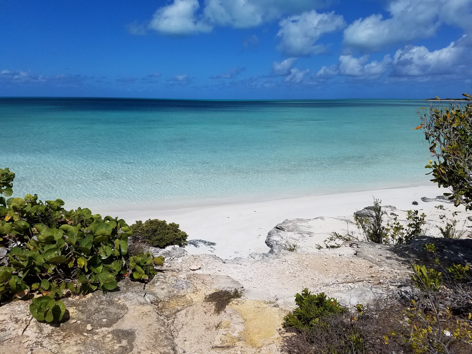 brian kamholz add nude in the bahamas photo