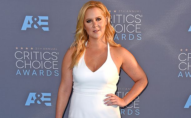 alexandre gomez recommends nudes of amy schumer pic