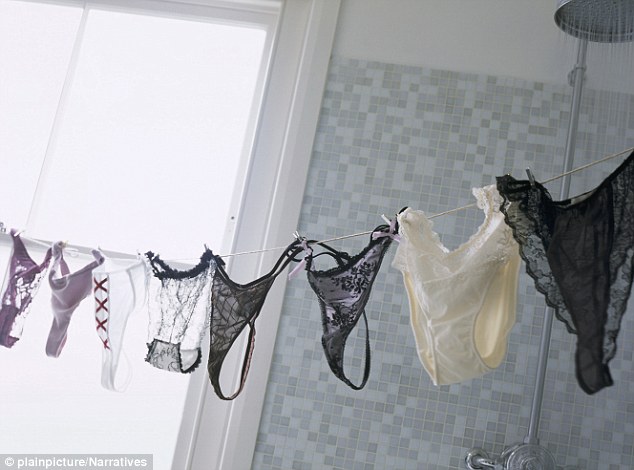 bart durbin add panties on clothes line photo
