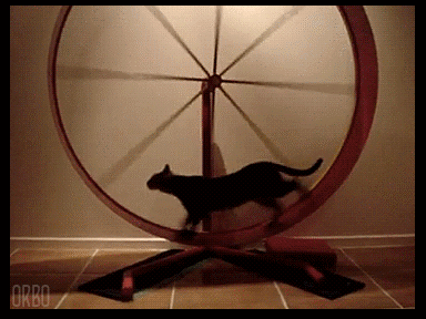 bass trombone recommends perfect loop gif pic