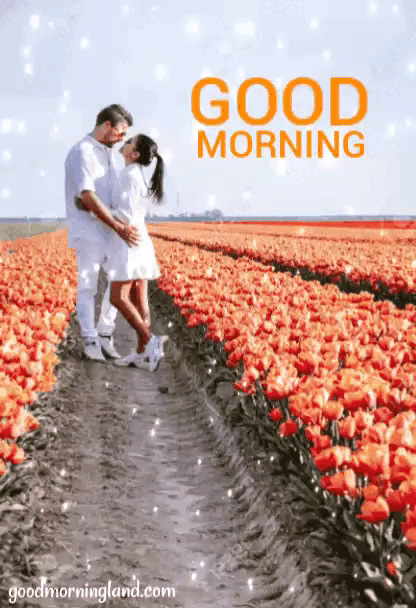 ant miller recommends romantic good morning love gif pic