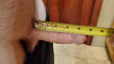 donnie richburg recommends ron jeremy dick size pic