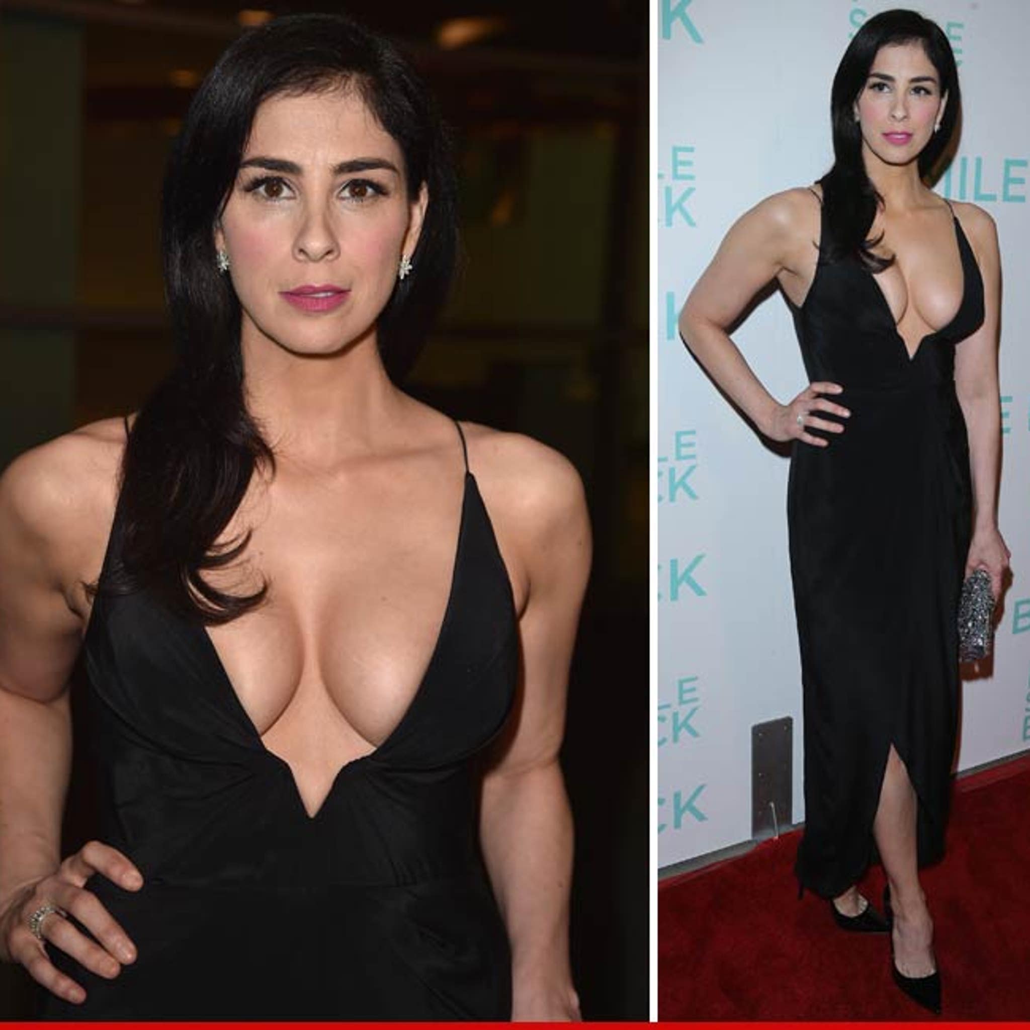 david g mayer recommends sarah silvermans boobs pic