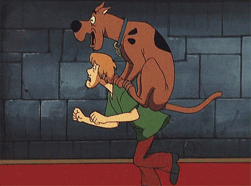 Best of Scooby doo where are you gif