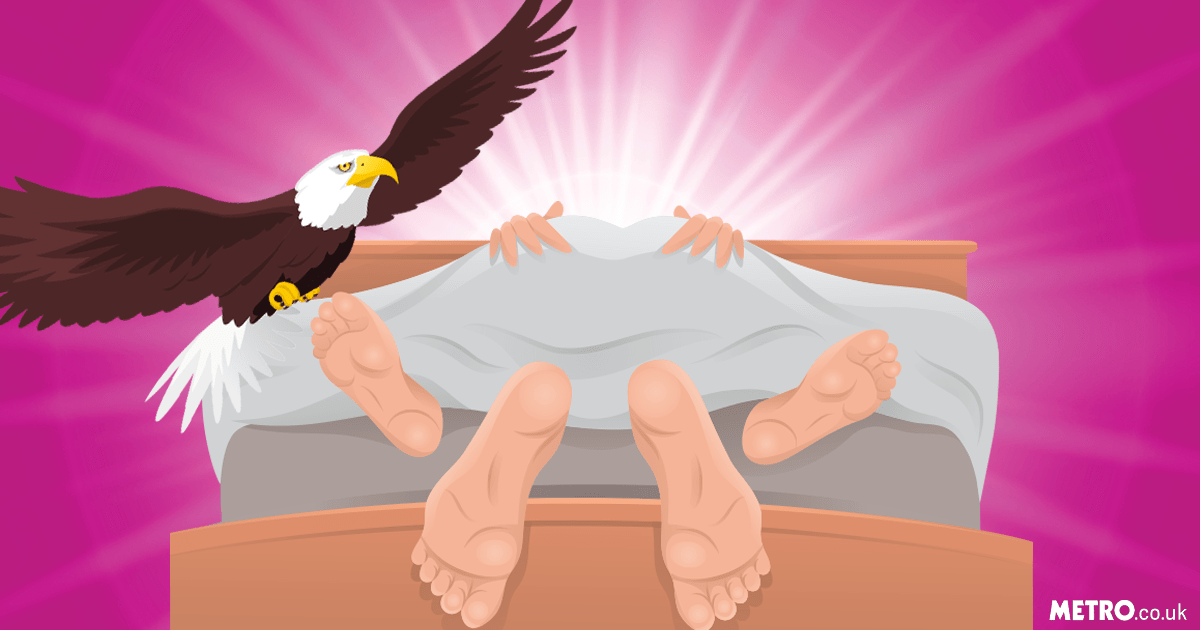 ale pliego share screaming eagle sex position photos