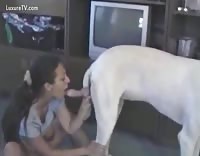 Sex With Family Pet miley gifs