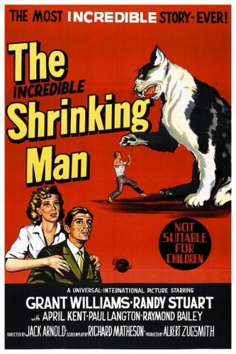 bob manginelli add slow shrinking man stories photo