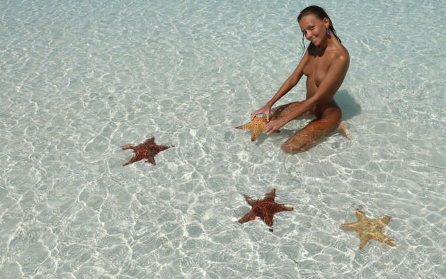 adam windross recommends starfish on tits porn beach pic