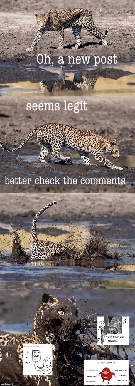 achint agarwal add photo suck a cheetah dick