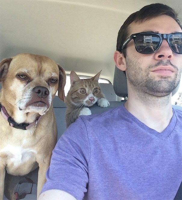 sunglasses selfie in a car meme