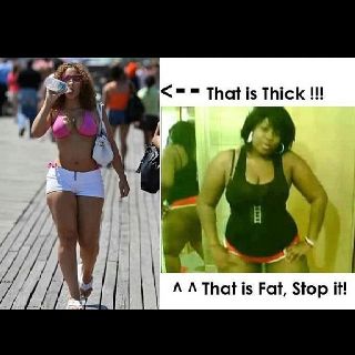 cherish lee recommends thick vs fat meme pic