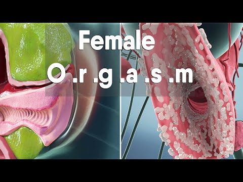 brian petherbridge recommends video of female orgasim pic