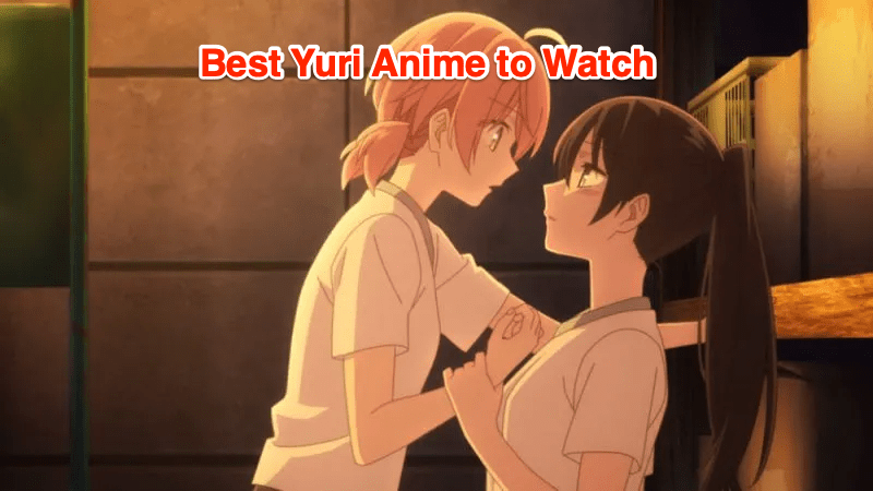 where can i watch yuri anime