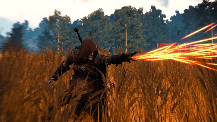 cindy fairman recommends Witcher 3 Hood Mod