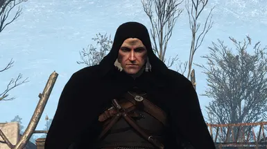 Best of Witcher 3 hood mod