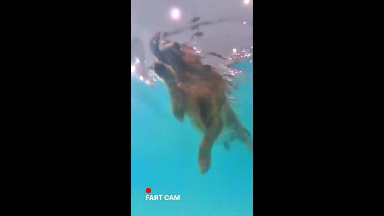 Best of Woman farting under water