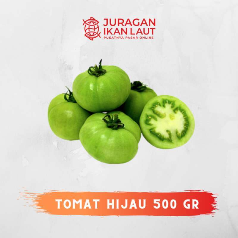 www juragan tomat com